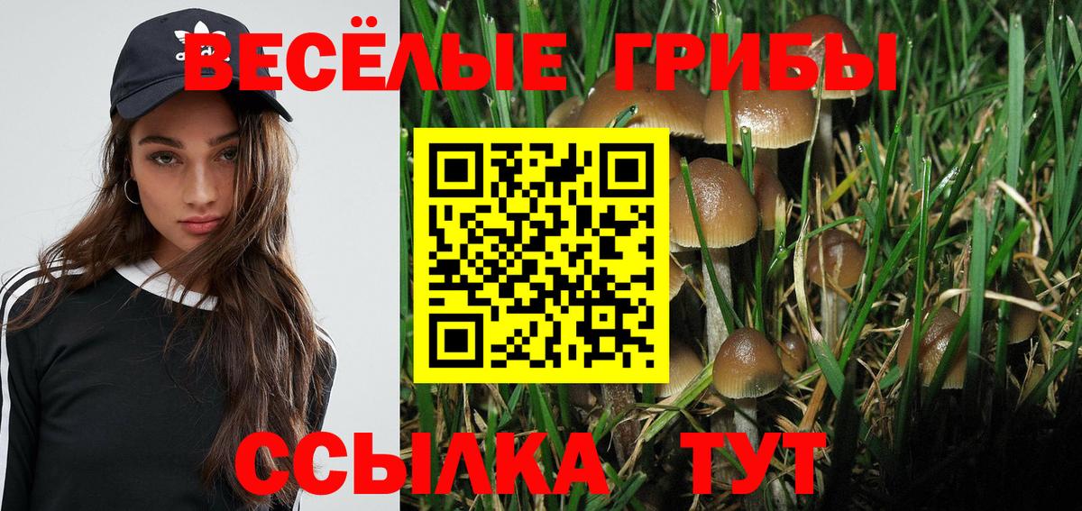 Галлюциногенные грибы ЛСД Сальск