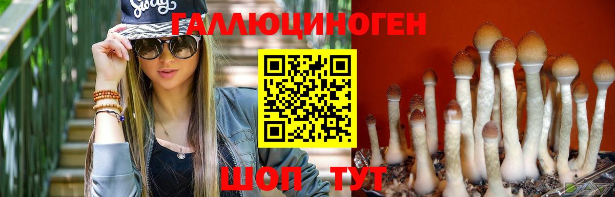 Сальск  Псилоцибиновые грибы мухоморы  Вход с VPN 